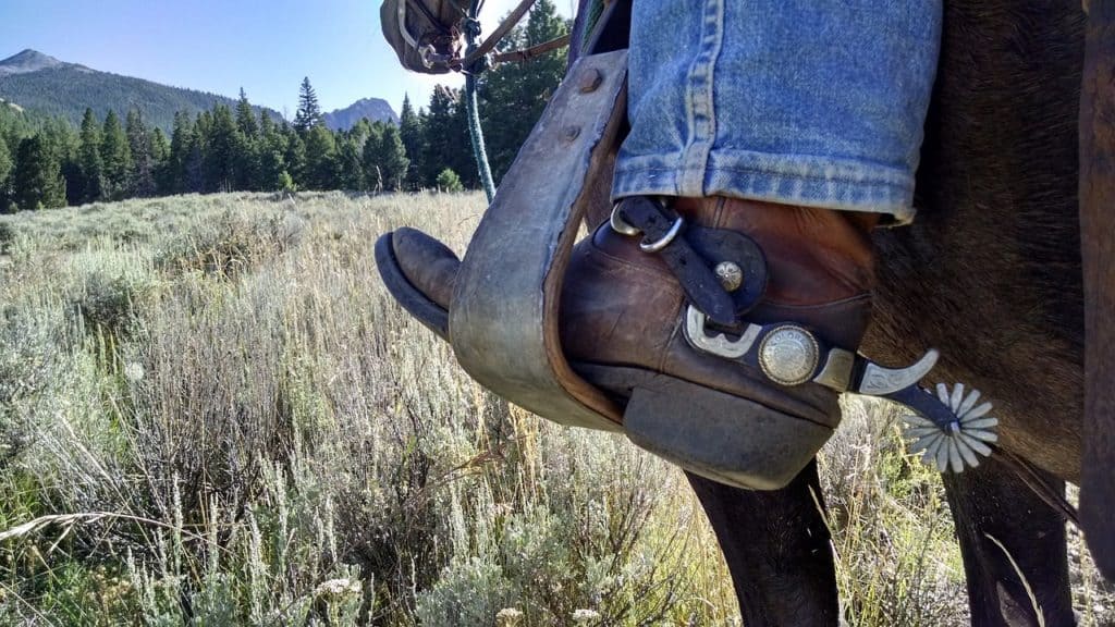 Horseback Rides in Colorado